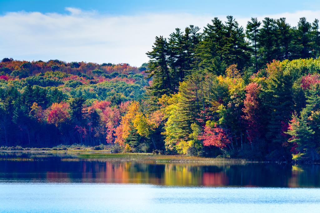Wolf Cove Inn Poland エクステリア 写真